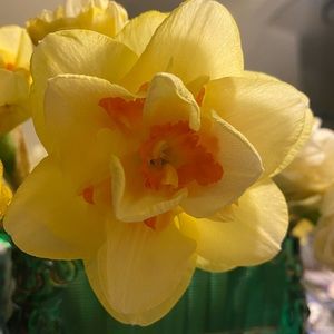 Meet your Posher, Tamara